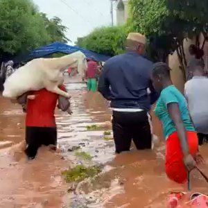 Sahel/Sahara: Unprecedented Summer Flooding Devastates Numerous Regions